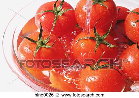 Fruit tomatoes View Large Photo Image Stock Image - Fruit tomatoes. Fotosearch