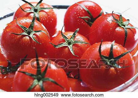 Fruit tomatoes View Large Photo Image Stock Photo - Fruit tomatoes. Fotosearch