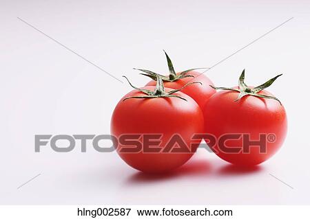 Fruit tomatoes View Large Photo Image Stock Photo - Fruit tomatoes. Fotosearch