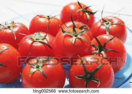 Fruit tomatoes View Large Photo Image Stock Photograph - Fruit tomatoes. Fotosearch