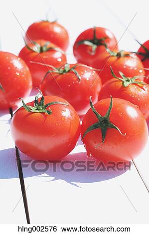 Fruit tomatoes View Large Photo Image Stock Photograph - Fruit tomatoes. Fotosearch
