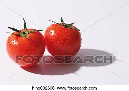 Fruit tomatoes View Large Photo Image Stock Photograph - Fruit tomatoes. Fotosearch
