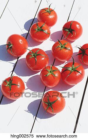 Fruit tomatoes View Large Photo Image Stock Photography - Fruit tomatoes. Fotosearch