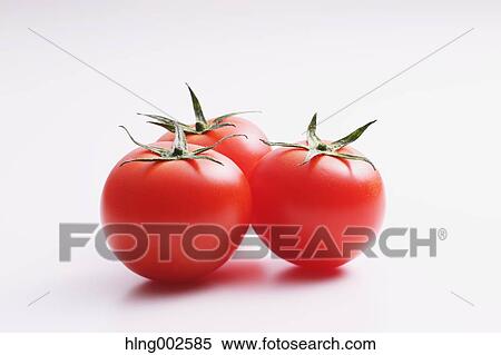 Fruit tomatoes View Large Photo Image Stock Photography - Fruit tomatoes. Fotosearch