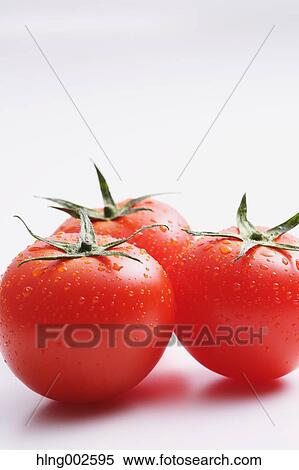 Fruit tomatoes View Large Photo Image Stock Photography - Fruit tomatoes. Fotosearch