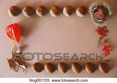 Japanese confectionery View Large Photo Image Stock Photography - Japanese confectionery. Fotosearch