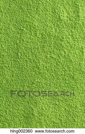 Maccha green tea View Large Photo Image Stock Image - Maccha green tea. Fotosearch