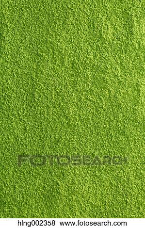 Maccha green tea View Large Photo Image Stock Photo - Maccha green tea. Fotosearch
