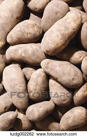 Potatoes View Large Photo Image Stock Image - Potatoes. Fotosearch