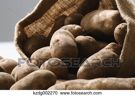 Potatoes View Large Photo Image Stock Image - Potatoes. Fotosearch