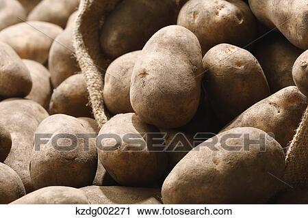 Potatoes View Large Photo Image Stock Image - Potatoes. Fotosearch