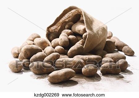 Stock Photo - Potatoes. Fotosearch