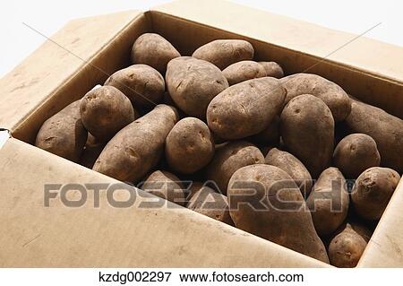 Potatoes View Large Photo Image Stock Photo - Potatoes. Fotosearch