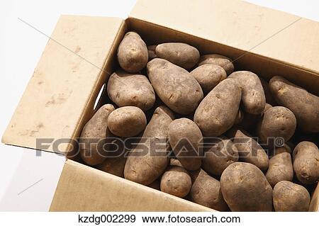 Potatoes View Large Photo Image Stock Photo - Potatoes. Fotosearch