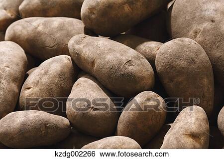 Potatoes View Large Photo Image Stock Photograph - Potatoes. Fotosearch