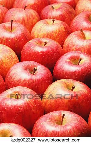 Red apples View Large Photo Image Stock Photo - Red apples. Fotosearch