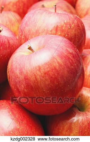 Red apples View Large Photo Image Stock Photo - Red apples. Fotosearch