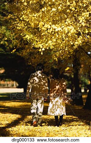 Senior Japanese couple in a city park in Autumn View Large Photo Image Stock Image - Senior Japanese couple in a city park in Autumn. Fotosearch