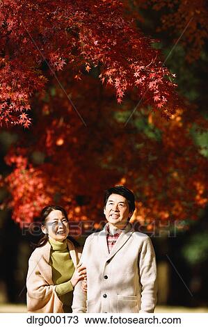 Senior Japanese couple in a city park in Autumn View Large Photo Image Stock Image - Senior Japanese couple in a city park in Autumn. Fotosearch