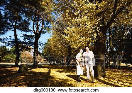 Senior Japanese couple in a city park in Autumn View Large Photo Image Stock Image - Senior Japanese couple in a city park in Autumn. Fotosearch