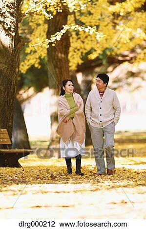 Senior Japanese couple in a city park in Autumn View Large Photo Image Stock Image - Senior Japanese couple in a city park in Autumn. Fotosearch