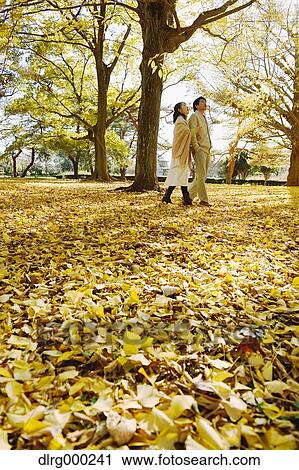 Senior Japanese couple in a city park in Autumn View Large Photo Image Stock Image - Senior Japanese couple in a city park in Autumn. Fotosearch