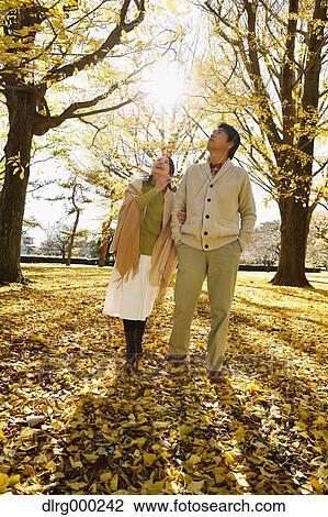Senior Japanese couple in a city park in Autumn View Large Photo Image Stock Image - Senior Japanese couple in a city park in Autumn. Fotosearch