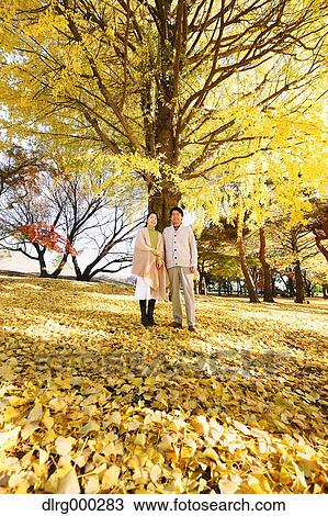 Senior Japanese couple in a city park in Autumn View Large Photo Image Stock Image - Senior Japanese couple in a city park in Autumn. Fotosearch