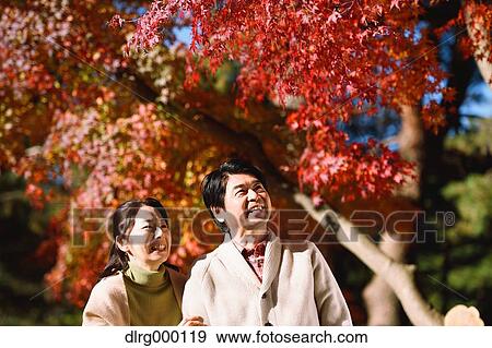 Senior Japanese couple in a city park in Autumn View Large Photo Image Stock Photo - Senior Japanese couple in a city park in Autumn. Fotosearch