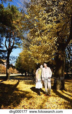 Senior Japanese couple in a city park in Autumn View Large Photo Image Stock Photo - Senior Japanese couple in a city park in Autumn. Fotosearch