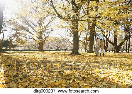 Senior Japanese couple in a city park in Autumn View Large Photo Image Stock Photo - Senior Japanese couple in a city park in Autumn. Fotosearch
