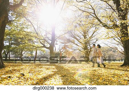 Senior Japanese couple in a city park in Autumn View Large Photo Image Stock Photo - Senior Japanese couple in a city park in Autumn. Fotosearch