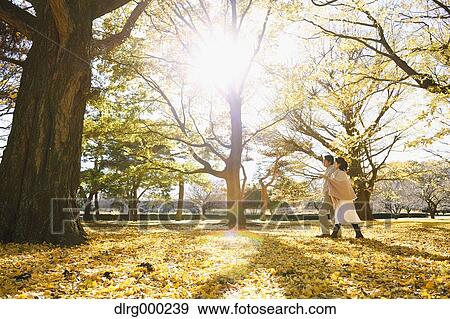 Senior Japanese couple in a city park in Autumn View Large Photo Image Stock Photo - Senior Japanese couple in a city park in Autumn. Fotosearch