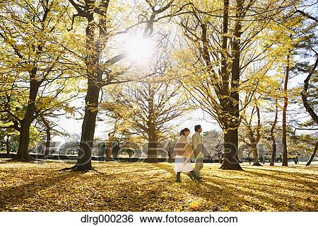 Senior Japanese couple in a city park in Autumn View Large Photo Image Stock Photograph - Senior Japanese couple in a city park in Autumn. Fotosearch