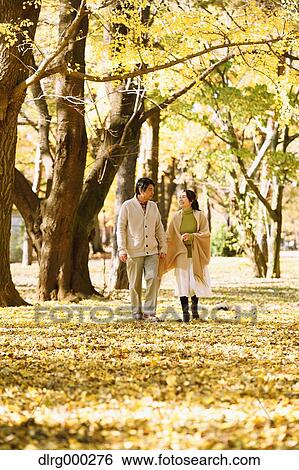 Senior Japanese couple in a city park in Autumn View Large Photo Image Stock Photograph - Senior Japanese couple in a city park in Autumn. Fotosearch