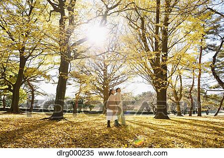 Senior Japanese couple in a city park in Autumn View Large Photo Image Stock Photography - Senior Japanese couple in a city park in Autumn. Fotosearch