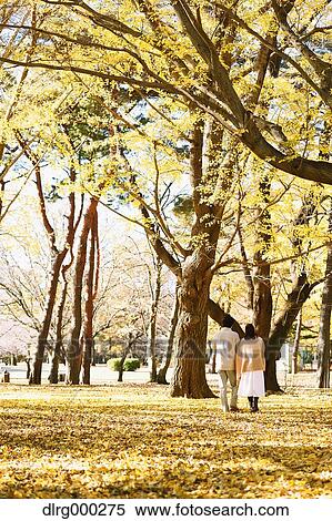 Senior Japanese couple in a city park in Autumn View Large Photo Image Stock Photography - Senior Japanese couple in a city park in Autumn. Fotosearch