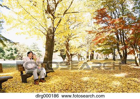 Senior Japanese couple sitting on a bench in a city park View Large Photo Image Stock Photograph - Senior Japanese couple sitting on a bench in a city park. Fotosearch