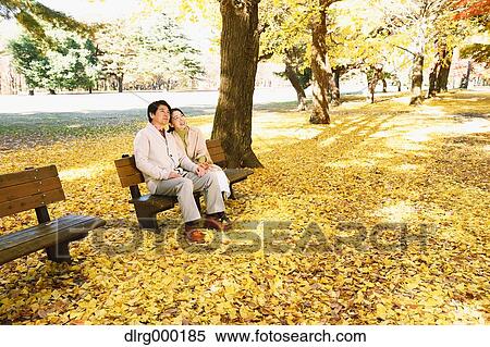 Senior Japanese couple sitting on a bench in a city park View Large Photo Image Stock Photography - Senior Japanese couple sitting on a bench in a city park. Fotosearch