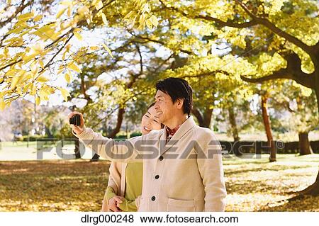 Senior Japanese couple taking pictures in a city park in Autumn View Large Photo Image Stock Photo - Senior Japanese couple taking pictures in a city park in Autumn. Fotosearch