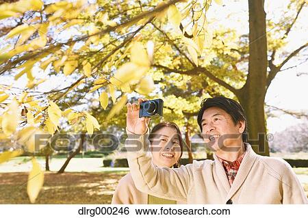 Senior Japanese couple taking pictures in a city park in Autumn View Large Photo Image Stock Photograph - Senior Japanese couple taking pictures in a city park in Autumn. Fotosearch