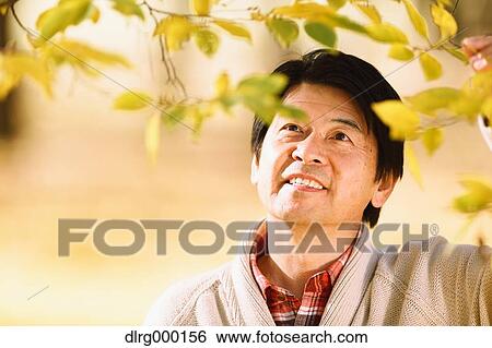 Senior Japanese man enjoying Autumn leaves in a city park View Large Photo Image Stock Photograph - Senior Japanese man enjoying Autumn leaves in a city park. Fotosearch