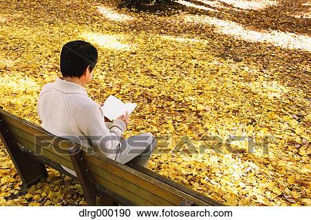 Senior Japanese man sitting on a bench with a book in a city park in Autumn View Large Photo Image Stock Image - Senior Japanese man sitting on a bench with a book in a city park in Autumn. Fotosearch