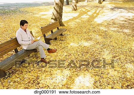 Senior Japanese man sitting on a bench with a book in a city park in Autumn View Large Photo Image Stock Image - Senior Japanese man sitting on a bench with a book in a city park in Autumn. Fotosearch