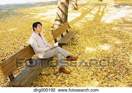 Stock Image - Senior Japanese man sitting on a bench with a book in a city park in Autumn. Fotosearch