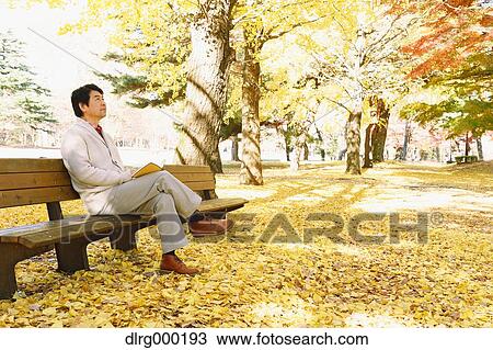 Senior Japanese man sitting on a bench with a book in a city park in Autumn View Large Photo Image Stock Image - Senior Japanese man sitting on a bench with a book in a city park in Autumn. Fotosearch