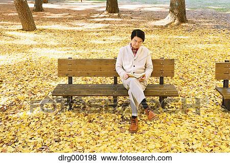 Senior Japanese man sitting on a bench with a book in a city park in Autumn View Large Photo Image Stock Photo - Senior Japanese man sitting on a bench with a book in a city park in Autumn. Fotosearch