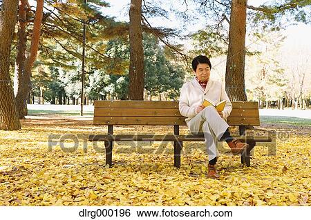 Senior Japanese man sitting on a bench with a book in a city park in Autumn View Large Photo Image Stock Photograph - Senior Japanese man sitting on a bench with a book in a city park in Autumn. Fotosearch