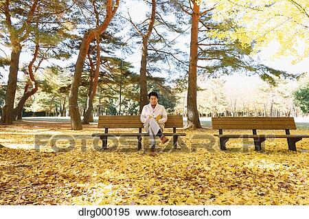 Senior Japanese man sitting on a bench with a book in a city park in Autumn View Large Photo Image Stock Photography - Senior Japanese man sitting on a bench with a book in a city park in Autumn. Fotosearch