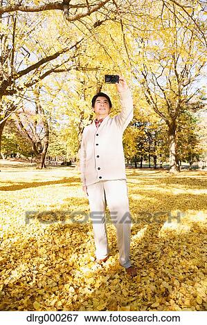 Senior Japanese man taking a selfie in a city park in Autumn View Large Photo Image Stock Photo - Senior Japanese man taking a selfie in a city park in Autumn. Fotosearch